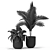 Exquisite Botanical Oasis: Plants Collection 442 3D model small image 5