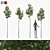 American Linden Tree Set - 4 Young Tilia Americana 3D model small image 5