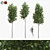 American Linden Tree Set - 4.8-5.0m 3D model small image 1