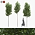 American Linden Tree Set - 4.8-5.0m 3D model small image 5