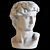 Detailed Polyresin David Bust 3D model small image 1