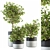 Green Oasis: Indoor Plant Set 3D model small image 1
