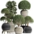 Exotic Houseplants Collection 3D model small image 1