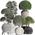 Exotic Houseplants Collection 3D model small image 2