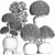 Exotic Houseplants Collection 3D model small image 5