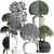 Exotic Houseplants Collection 3D model small image 3
