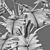 Tropical Archive: Philodendron Undulatum 3D model small image 4