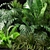 Variety of Plants: Collection 445 3D model small image 4