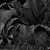 Variety of Plants: Collection 445 3D model small image 5