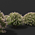 Japanese Willow "Hakuro-Nishiki" Bushes 3D model small image 3