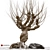 Rattlesnake Willow 3D Model 3D model small image 1