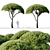 Pine Tree Set: 13m and 12m 3D model small image 1
