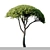 Pine Tree Set: 13m and 12m 3D model small image 2