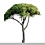 Pine Tree Set: 13m and 12m 3D model small image 3
