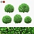 Boxwood Ball Bushes - Set of 5 3D model small image 1