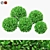 Boxwood Ball Bushes - Set of 5 3D model small image 5