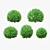 Boxwood Ball Bushes - Set of 5 3D model small image 6