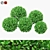 Boxwood Ball Bushes - Set of 5 3D model small image 11