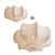 Ethereal Cocoon Pendant: Flos Viscontea 3D model small image 2