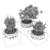 Botanical Treasures Vol. 97: Delicate & High-Quality Collection 3D model small image 3