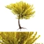 2017 Tree Model: Unwrapped, Corona Render 3D model small image 1