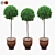 Round Boxwood Bushes on Stem - Set of 3 3D model small image 1