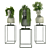 Trio of Green Marvels: Ivy, Succulent & Snow Queen 3D model small image 5