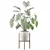 Exquisite Philodendron Xanadu: Plant Collection 094 3D model small image 2
