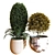 Botanical Box Set 038: Lush Greenery for Your Space 3D model small image 2