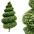 Burford Holly Spiral Topiary Tree: Stunning 3D Model 3D model small image 1
