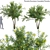 3D Model Collection - Thevetia Peruviana 3D model small image 1