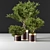 Modern Indoor007 Plant Décor 3D model small image 4