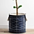 Minimalist Polygonal Ficus Tree 3D model small image 3