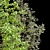Blooming Beauty: Yuki Cherry Blossom 3D model small image 3