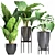 Exquisite Alocasia Collection: 210 Plants 3D model small image 5