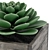 Diverse Succulent Collection 3D model small image 2