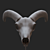 Eerie Goat Skull Décor 3D model small image 5