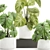 Exotic Indoor & Outdoor Plant Collection 3D model small image 3