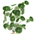 Exotic Black Pot Plant Collection 3D model small image 3