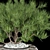 Premium Plant Collection: Volume 136 3D model small image 3