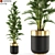 Exquisite Plants Set 471 3D model small image 1