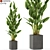 Green Oasis: 473 Exquisite Plants 3D model small image 1
