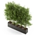 Lush Greenery: 480 Stunning Plants 3D model small image 2