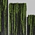 Unique Poly Plant, 3-5m Heights 3D model small image 3