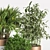 Indoor Greenery Set 3D model small image 3
