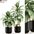 Botanical Bliss: Versatile Plants Collection 3D model small image 1