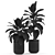 Botanical Bliss: Versatile Plants Collection 3D model small image 3
