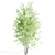 Beautiful Amelanchier Tree Duo 3D model small image 2