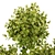 Botanical Extravaganza: Lush Greenery Medley 3D model small image 3