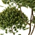 Green Oasis: Plants Collection 3D model small image 2